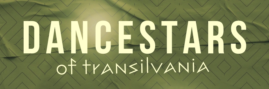 Dancestars of Transilvania powered by Dance Go